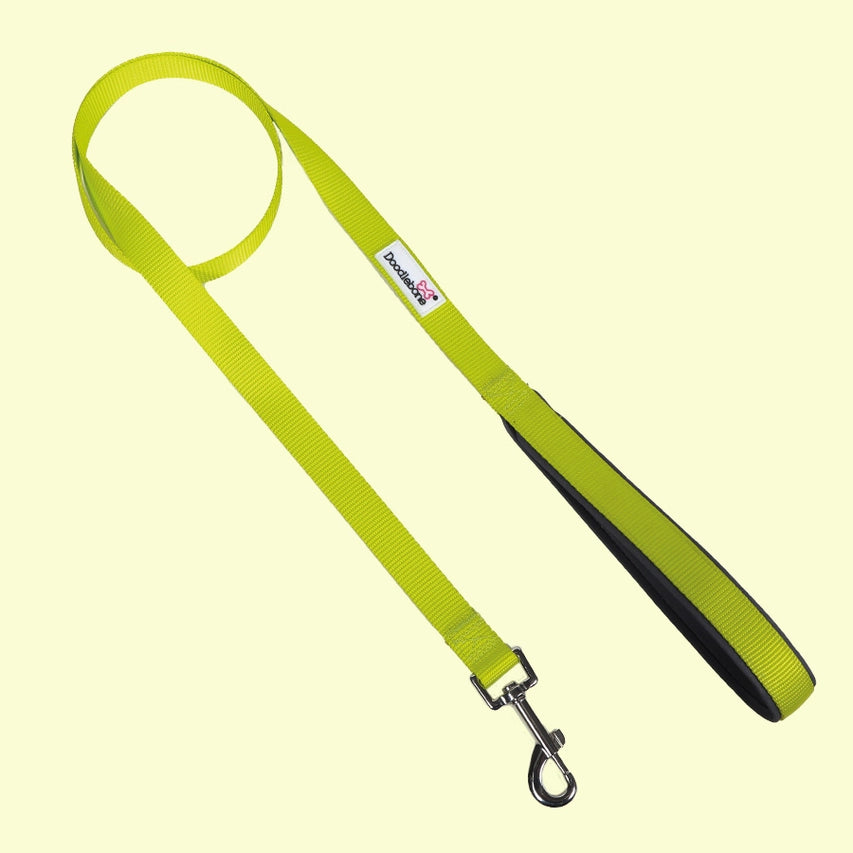 Doodle Bone Padded Lead