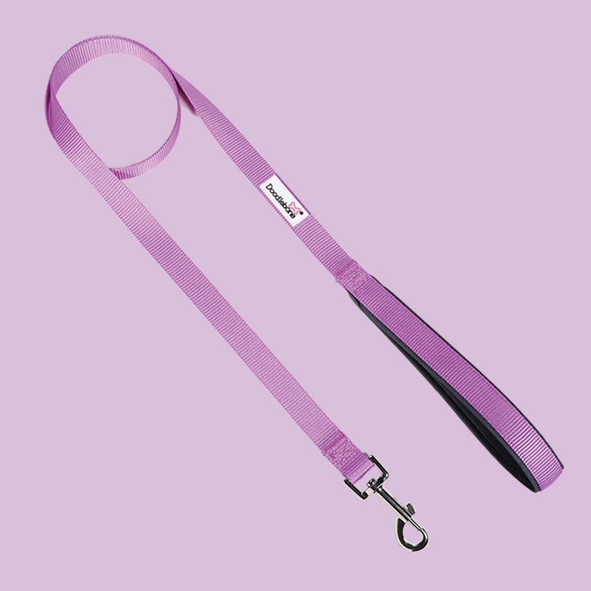 Doodle Bone Padded Lead