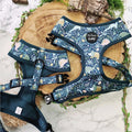 Dino Rawr Dinosaur Puppy/Small Dog Harness
