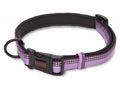 Halti Padded Collar