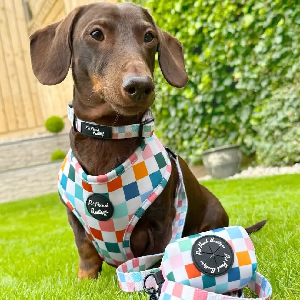 Chunky Check Dog Collar