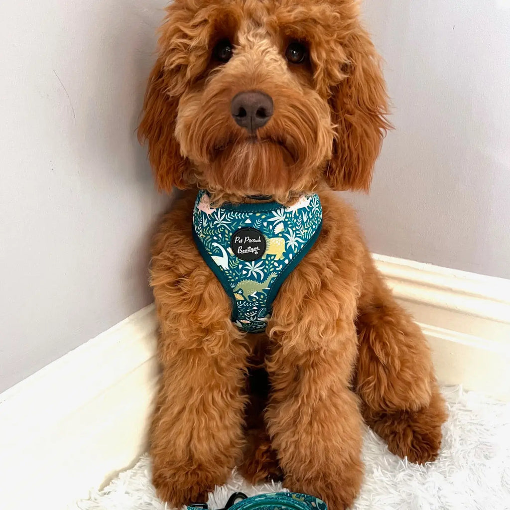 Dino Rawr Dinosaur Puppy/Small Dog Harness