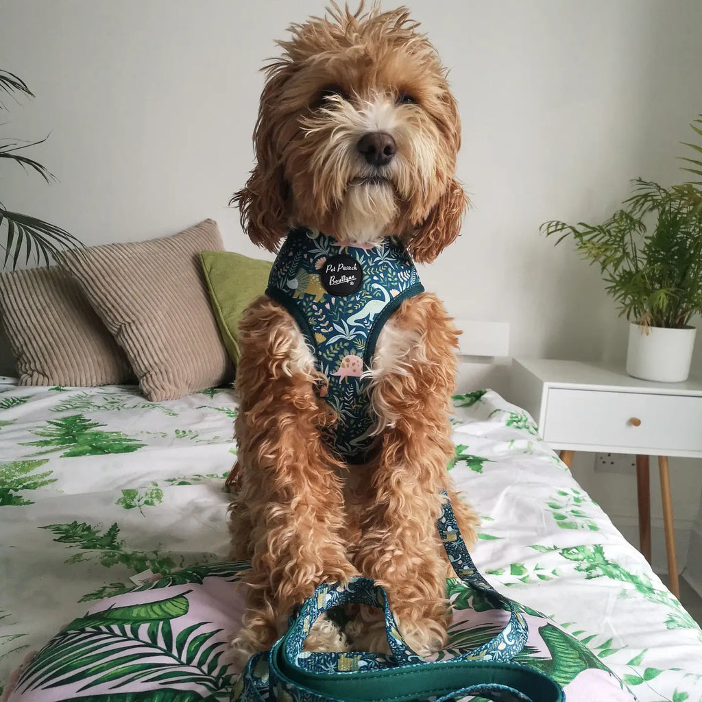 Dino Rawr Dinosaur Dog Lead
