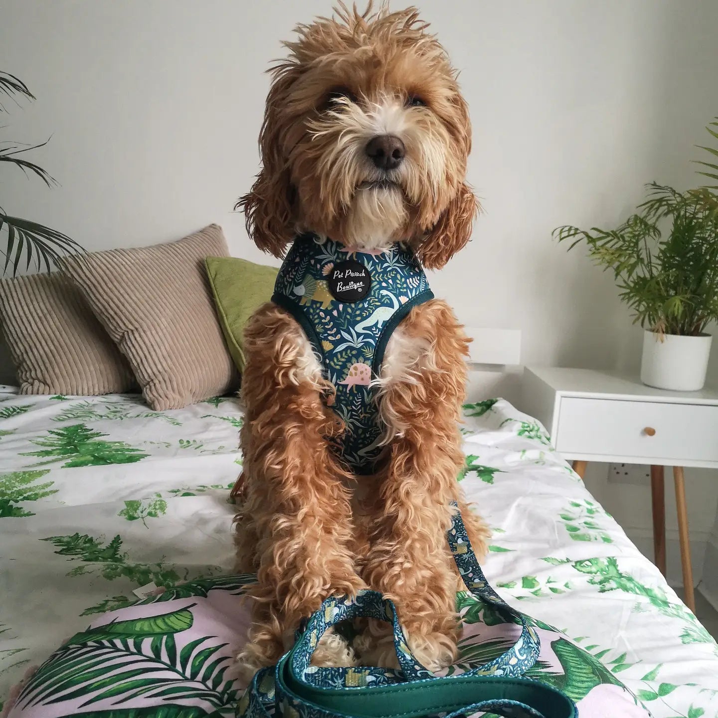 Dino Rawr Dinosaur Dog Lead