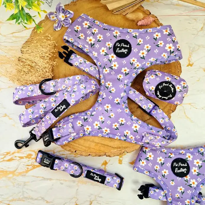 Lucky Little Lavender Daisies Dog Lead