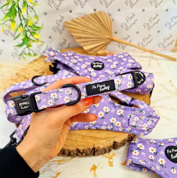 Lucky Little Lavender Daisies Dog Collar