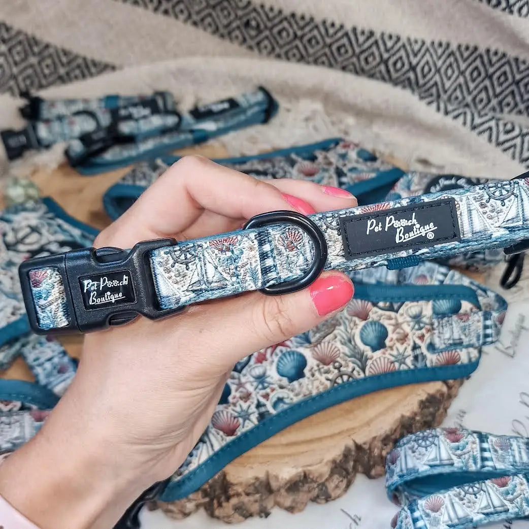 Shipwrecked Nautical Dog Collar