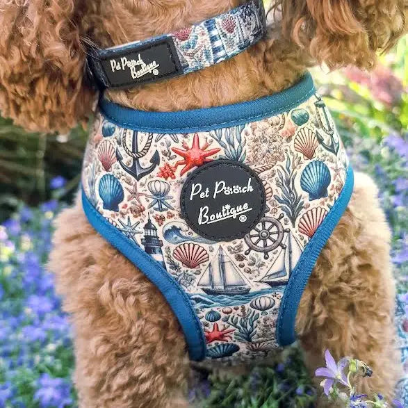 Shipwrecked Nautical Dog Collar