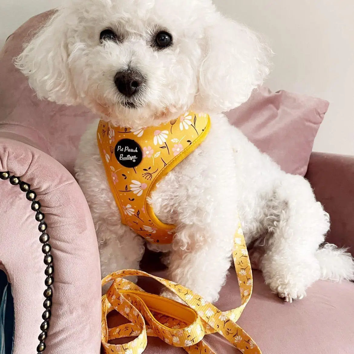 Sunshine Daisy Yellow Dog Lead