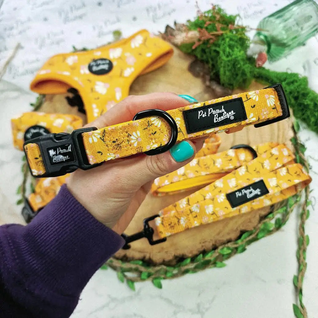 Sunshine Daisy Dog Collar