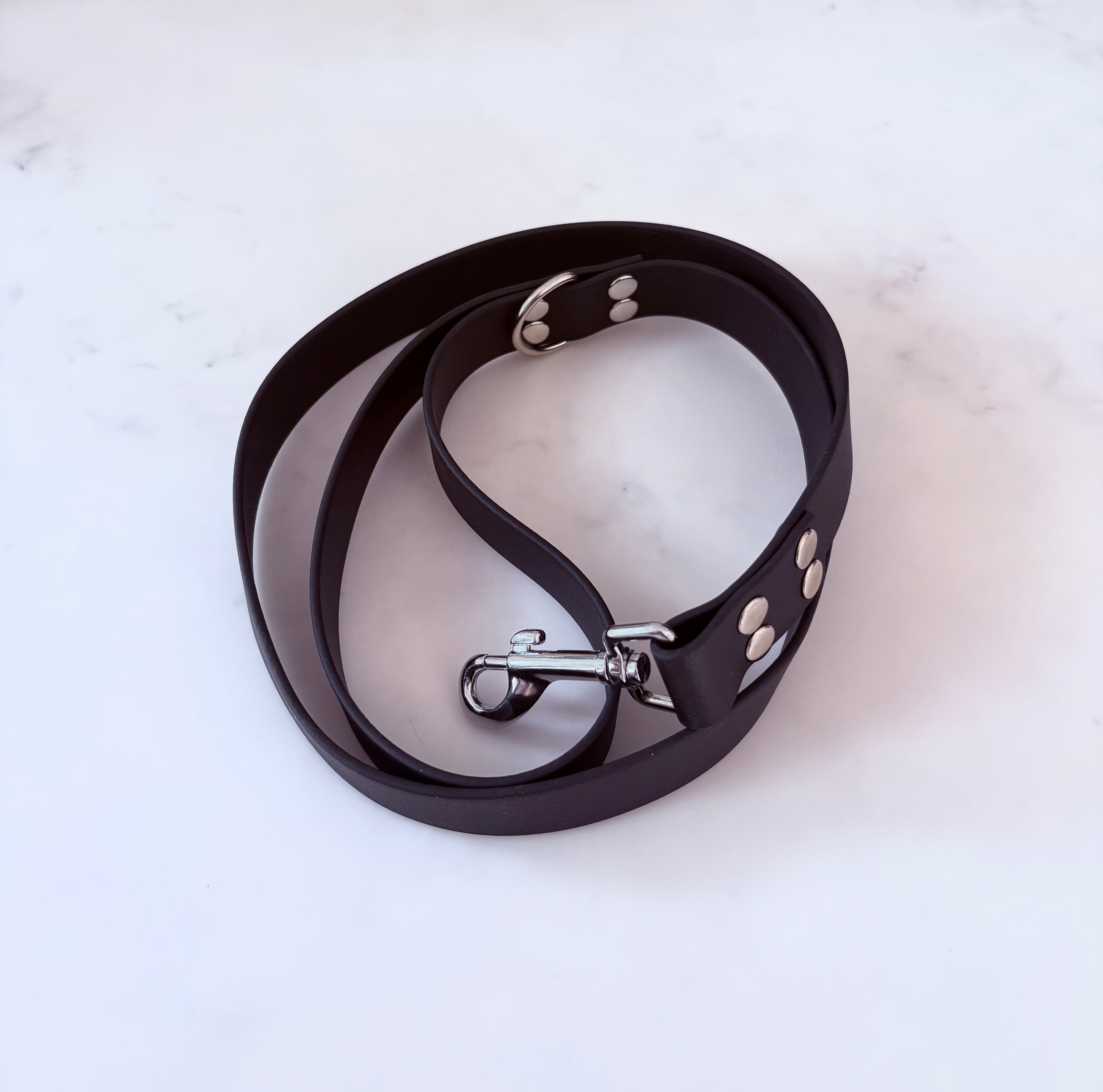 Biothane dog lead 25mm - black