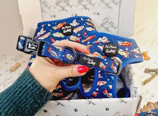 Blue rocket ship collar