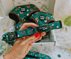 Forest Fir Cone Dog Collar