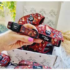 Great adventure Dog Collar