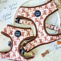 Vintage Bears Gingham Puppy/ Small Dog Harness