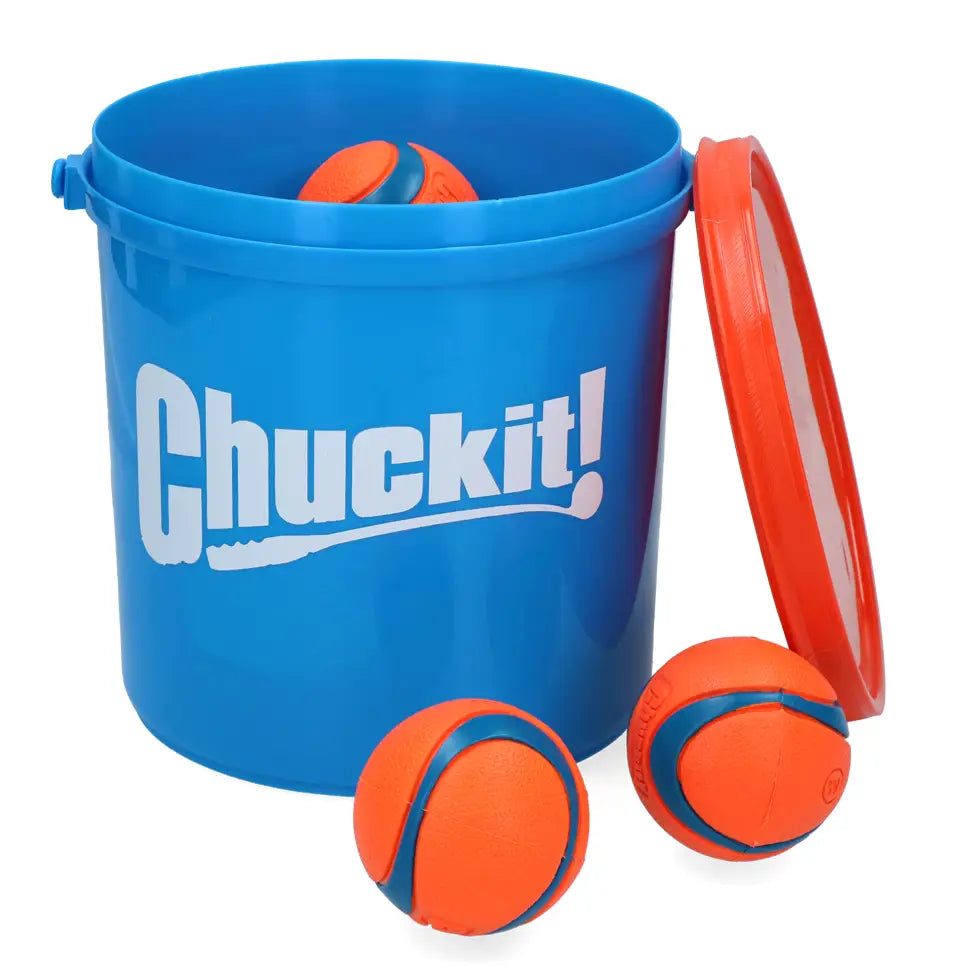 8 Chuck It balls with bucket