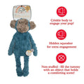 Rosewood my dog monkey